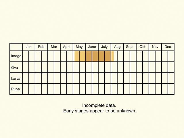  Life stages table Copyright Martin Evans 