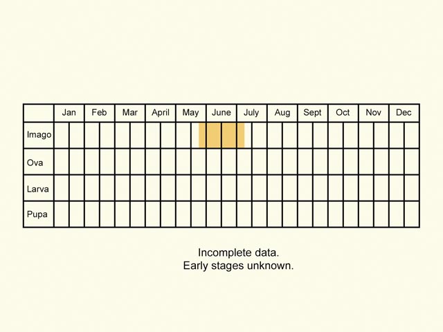  Life stages table Copyright Martin Evans 