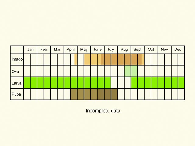  Life stages table Copyright Martin Evans 