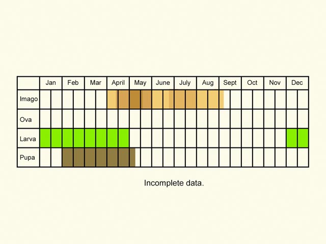  Life stages table Copyright Martin Evans 