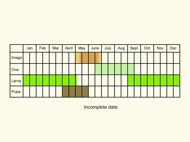  Life stages table Copyright Martin Evans 