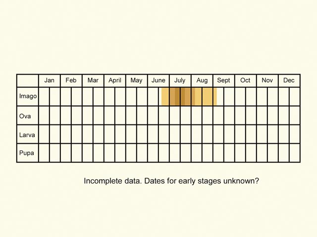 Life stages table Copyright Martin Evans 