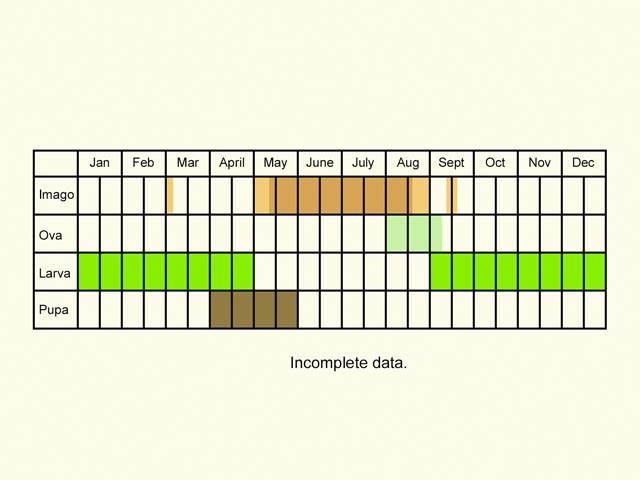 Life stages table Copyright Martin Evans 