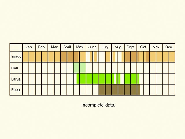  Life stages table Copyright Martin Evans 
