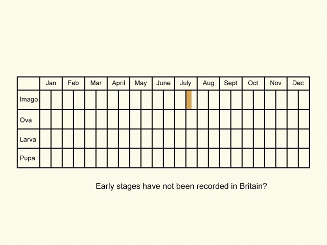  Life stages table Copyright Martin Evans 
