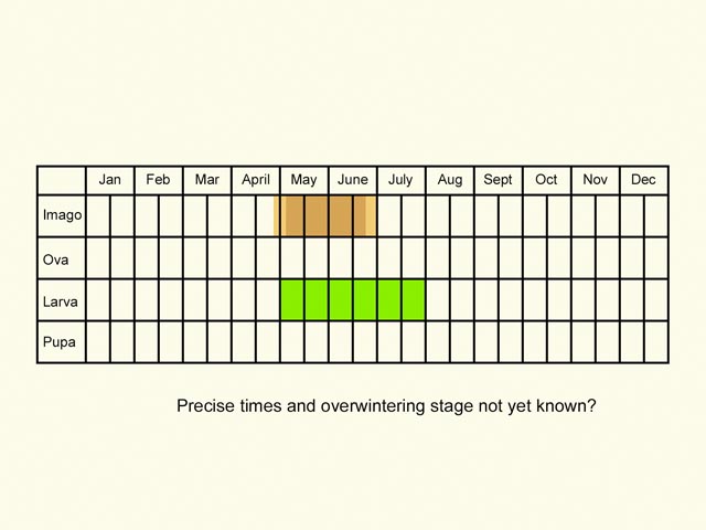  Life stages table Copyright Martin Evans 