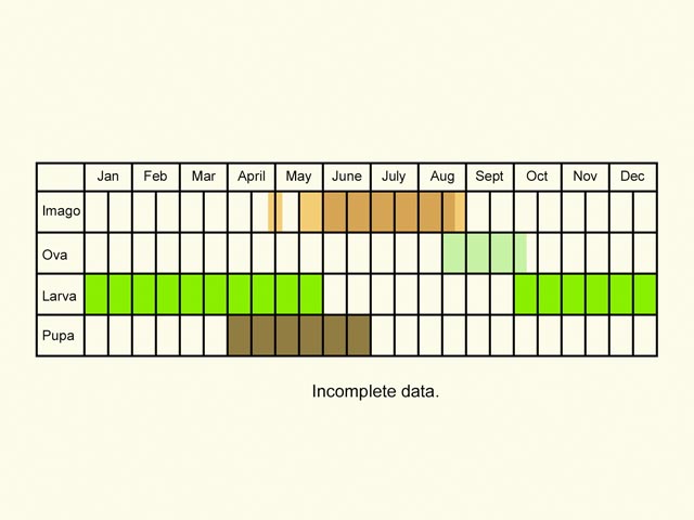  Life stages table Copyright Martin Evans 