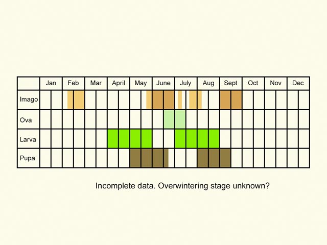  Life stages table Copyright Martin Evans 