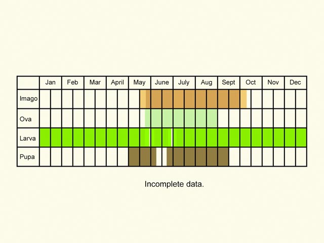  Life stages table Copyright Martin Evans 
