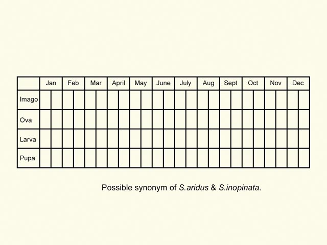  Life stages table Copyright Martin Evans 