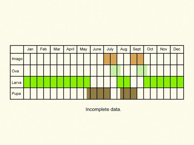  Life stages table Copyright Martin Evans 