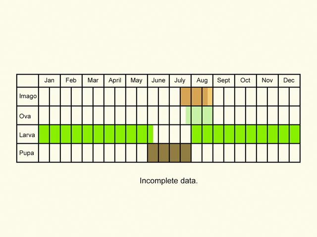  Life stages table Copyright Martin Evans 