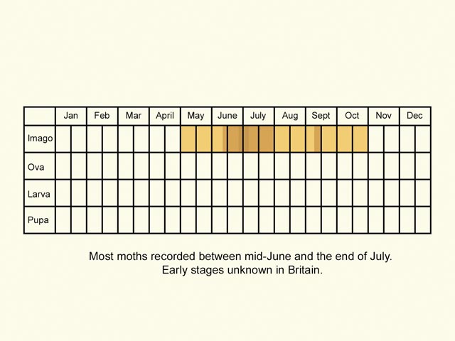  Life stages table Copyright Martin Evans 