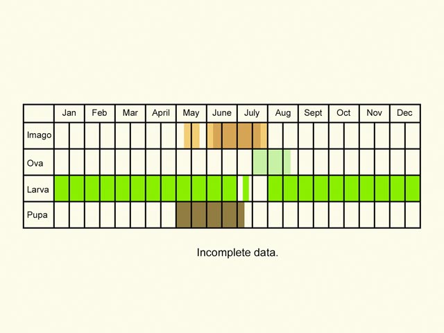  Life stages table Copyright Martin Evans 