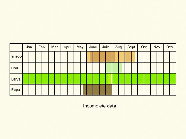  Life stages table Copyright Martin Evans 