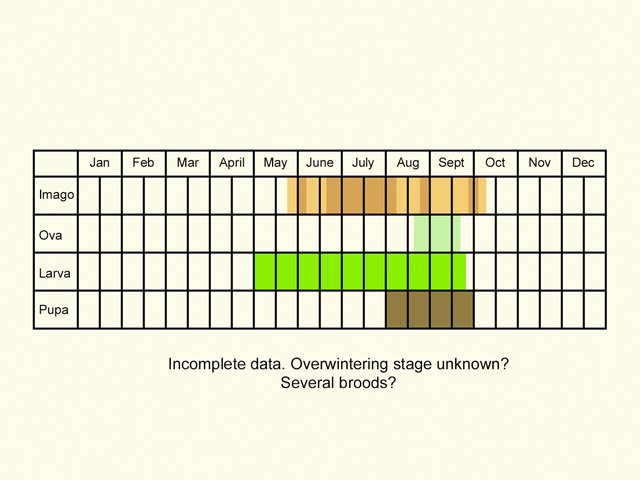  Life stages table Copyright Martin Evans 