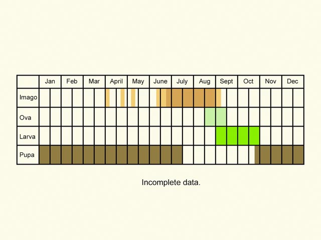  Life stages table Copyright Martin Evans 