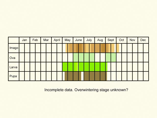  Life stages table Copyright Martin Evans 