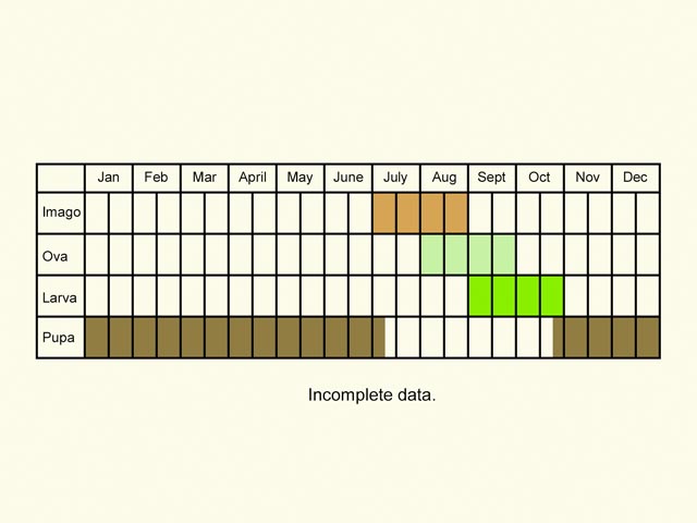  Life stages table Copyright Martin Evans 