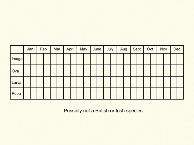  Life stages table Copyright Martin Evans 