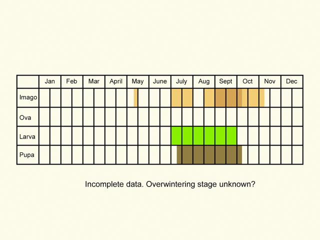  Life stages table Copyright Martin Evans 