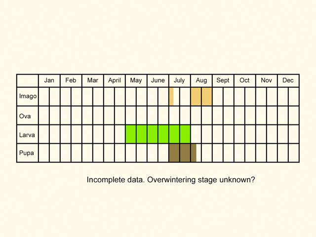  Life stages table Copyright Martin Evans 