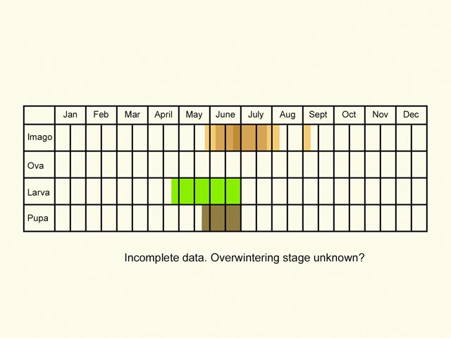  Life stages table Copyright Martin Evans 
