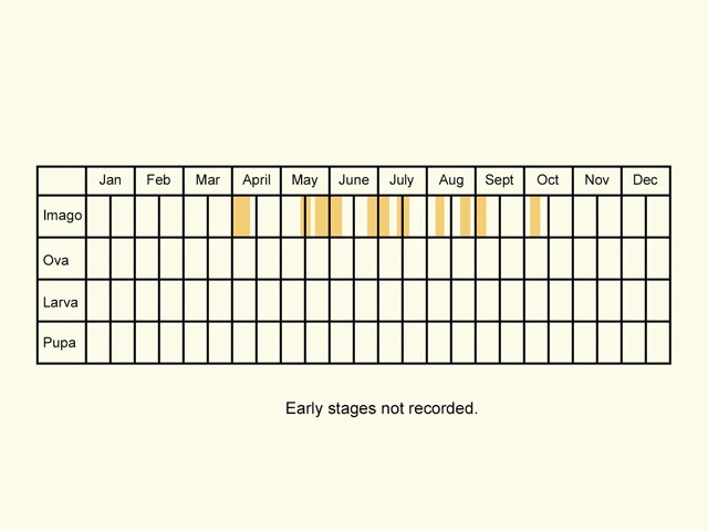  Life stages table Copyright Martin Evans 