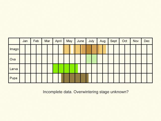  Life stages table Copyright Martin Evans 