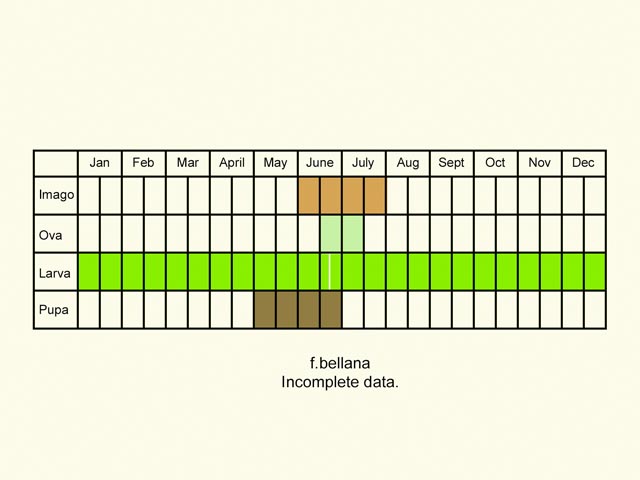  Life stages table Copyright Martin Evans 