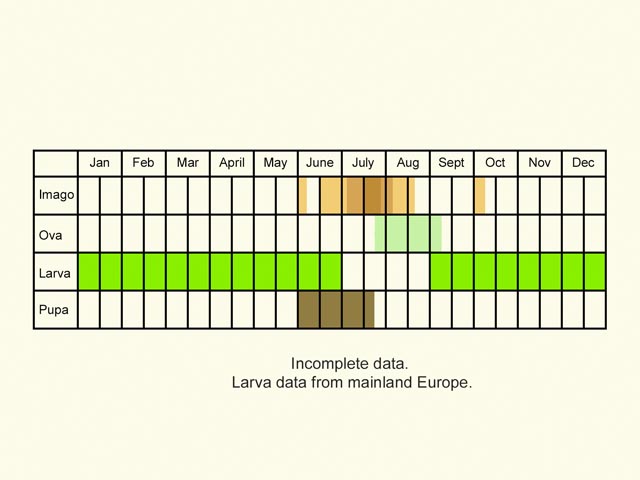  Life stages table Copyright Martin Evans 