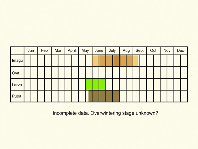  Life stages table Copyright Martin Evans 