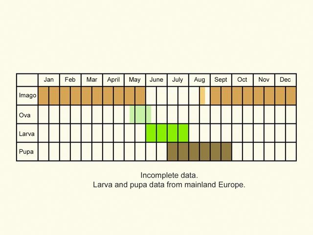  Life stages table Copyright Martin Evans 
