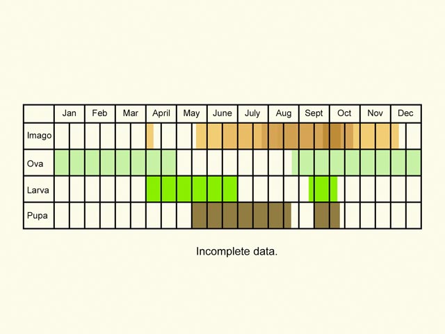  Life stages table Copyright Martin Evans 