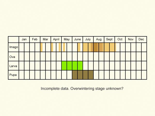  Life stages table Copyright Martin Evans 