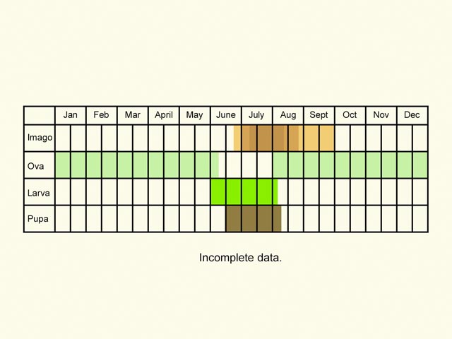  Life stages table Copyright Martin Evans 