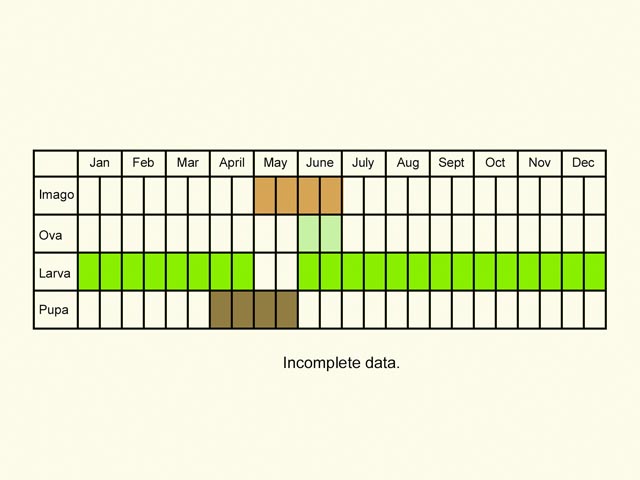  Life stages table Copyright Martin Evans 