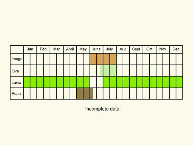  Life stages table Copyright Martin Evans 