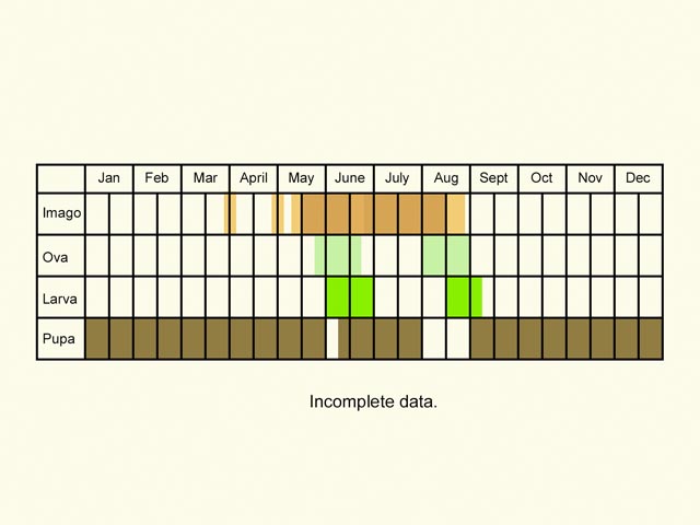  Life stages table Copyright Martin Evans 
