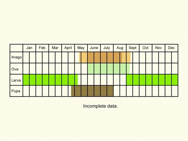  Life stages table Copyright Martin Evans 