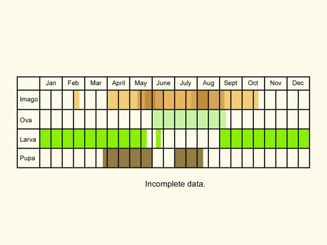  Life stages table Copyright Martin Evans 