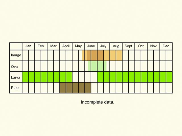  Life stages table Copyright Martin Evans 