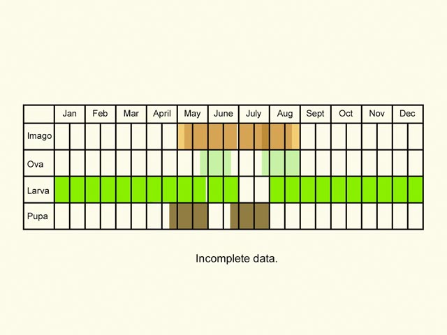  Life stages table Copyright Martin Evans 