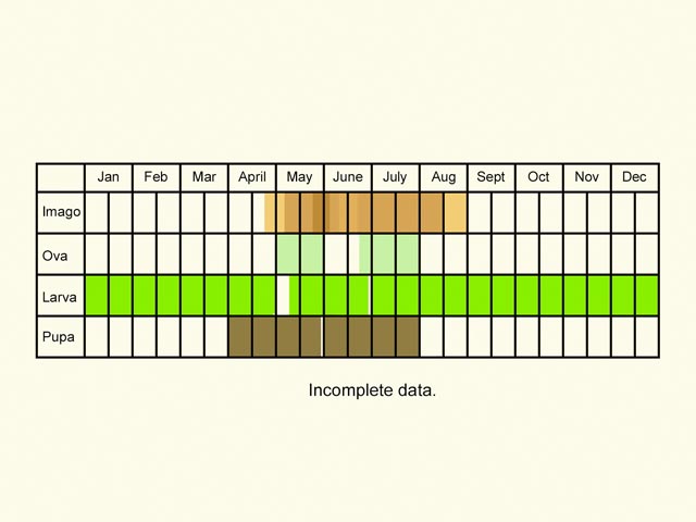  Life stages table Copyright Martin Evans 