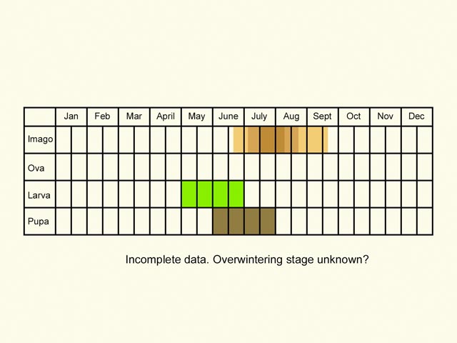  Life stages table Copyright Martin Evans 