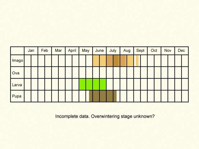  Life stages table Copyright Martin Evans 