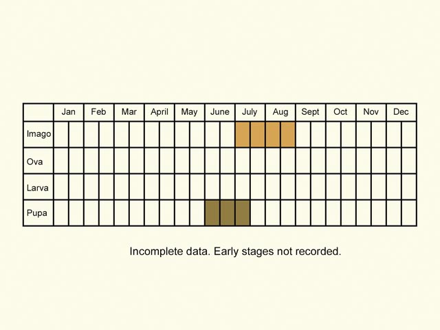  Life stages table Copyright Martin Evans 