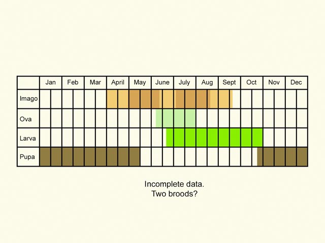  Life stages table Copyright Martin Evans 