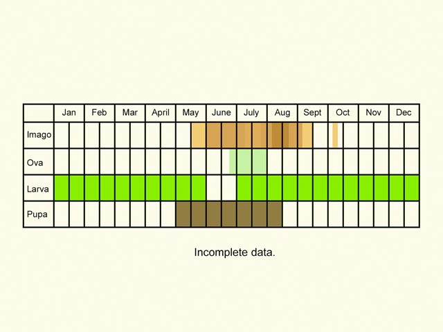  Life stages table Copyright Martin Evans 