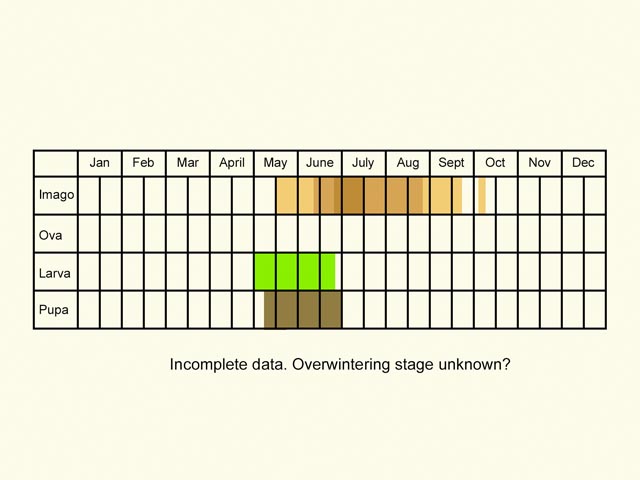  Life stages table Copyright Martin Evans 